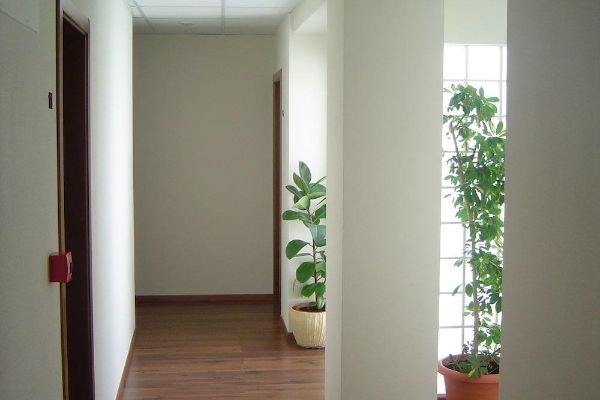 Hostal El Estudio (Almansa)